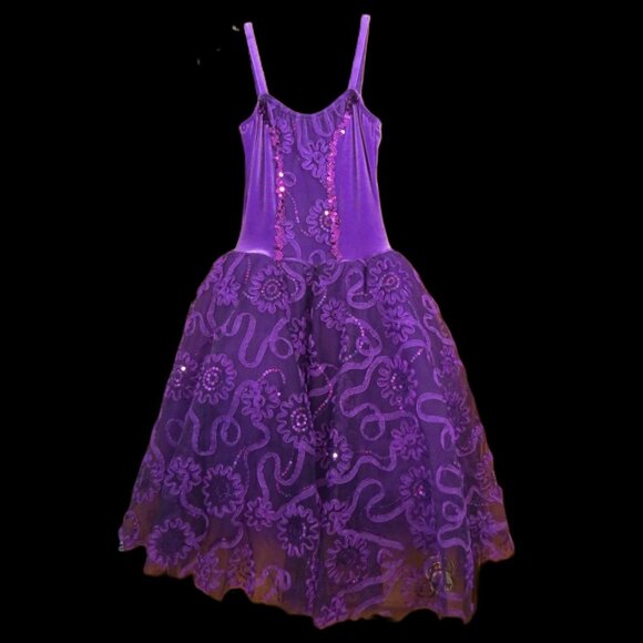 Costume Gallery Purple Ballet Tutu Velvet Sequins Ribbon Flowers Adult Small - Picture 1 of 11
